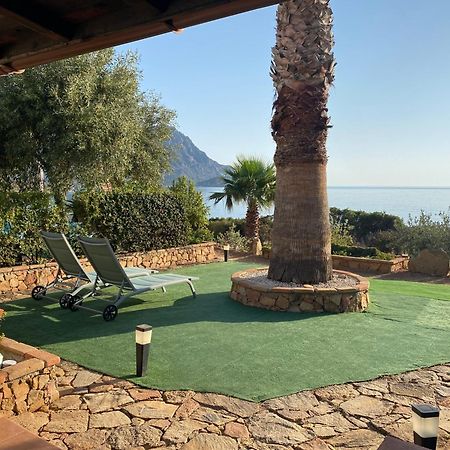 Ferienwohnung Il Bacio Del Sole Tertenìa Exterior foto